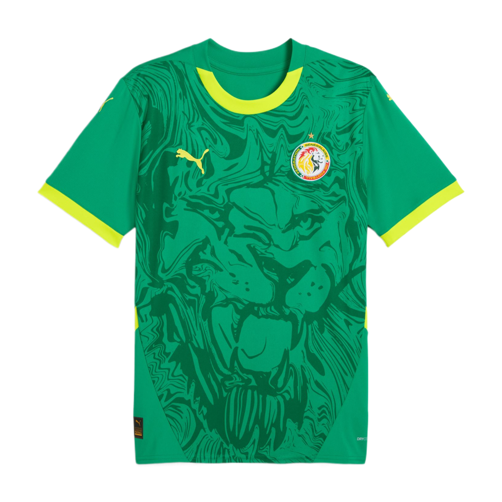 2025 Senegal 2nd Kit