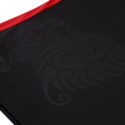 2026 Albania Third Kit