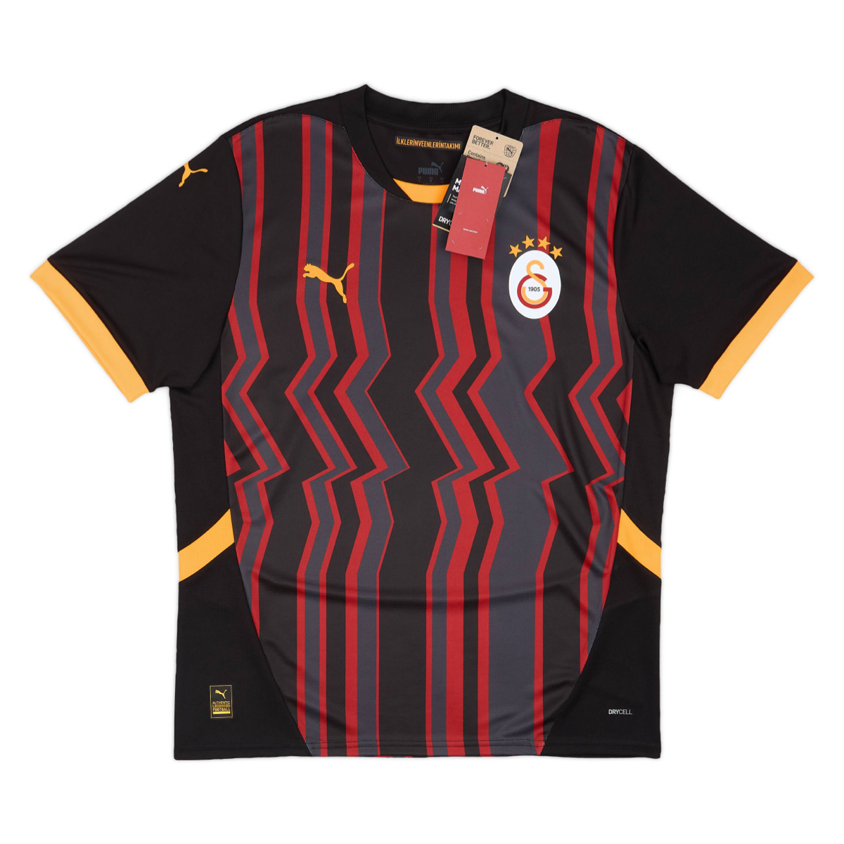 2024-25 Galatasaray SK Third Shirt