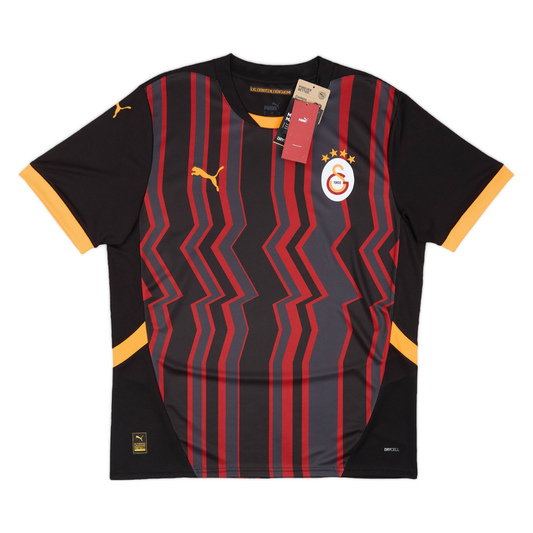2024-25 Galatasaray SK Third Shirt