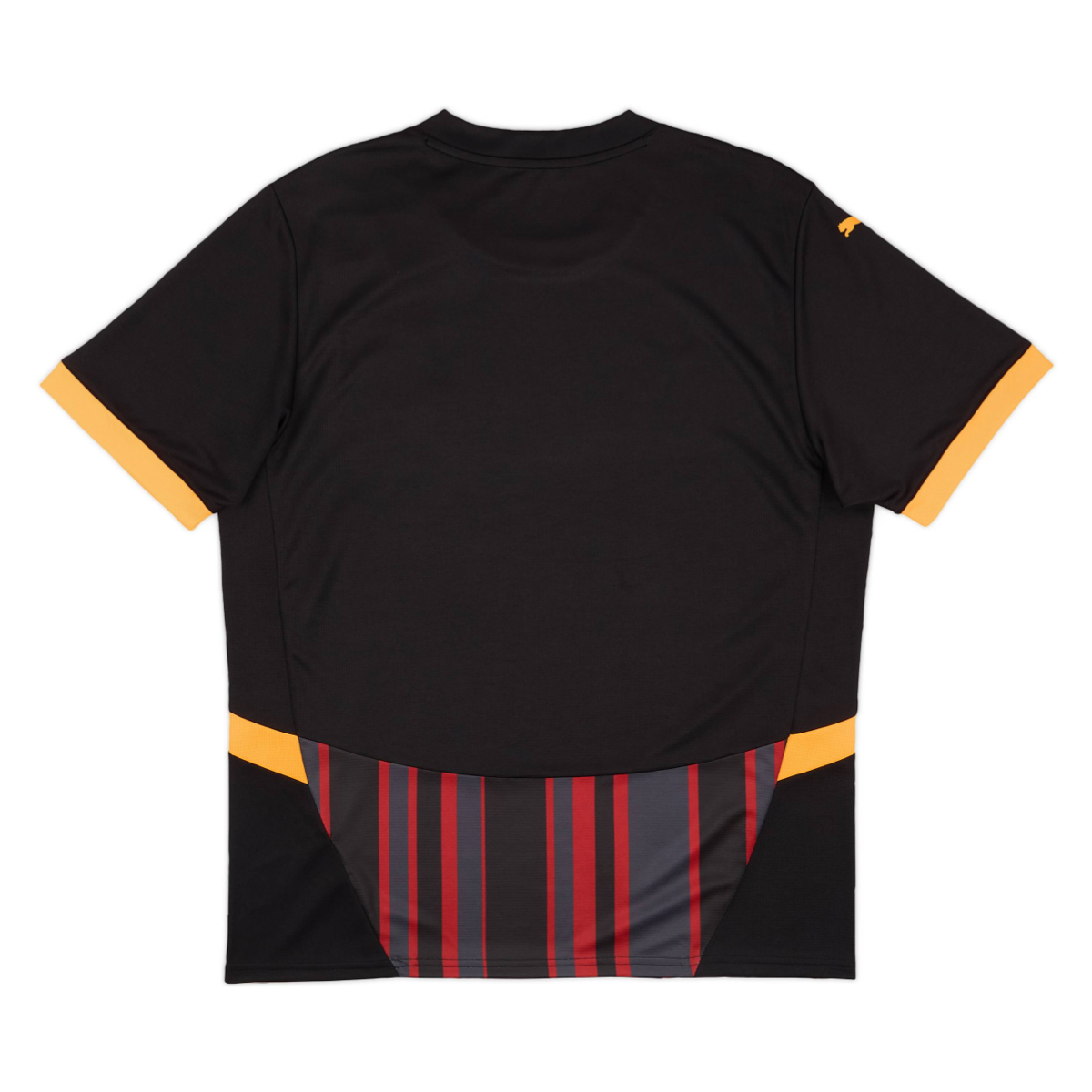 2024-25 Galatasaray SK Third Shirt