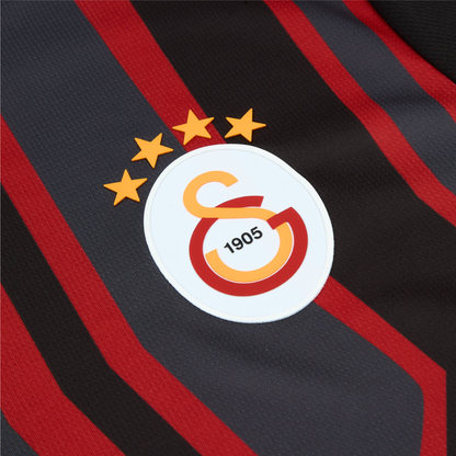 2024-25 Galatasaray SK Third Shirt