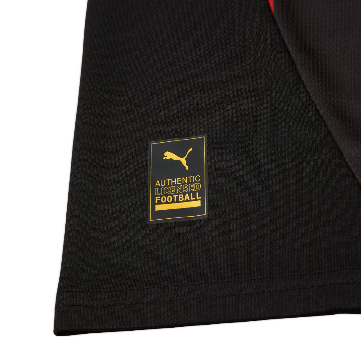 2024-25 Galatasaray SK Third Shirt