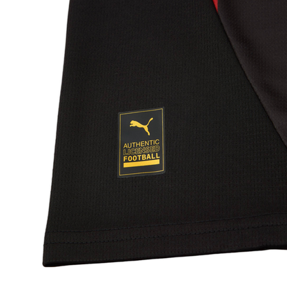 2024-25 Galatasaray SK Third Shirt