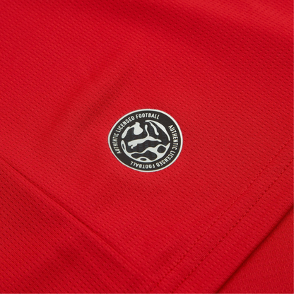 2026 Czech Republic Home Kit