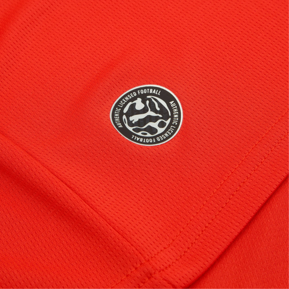 2026 Austria Home Kit