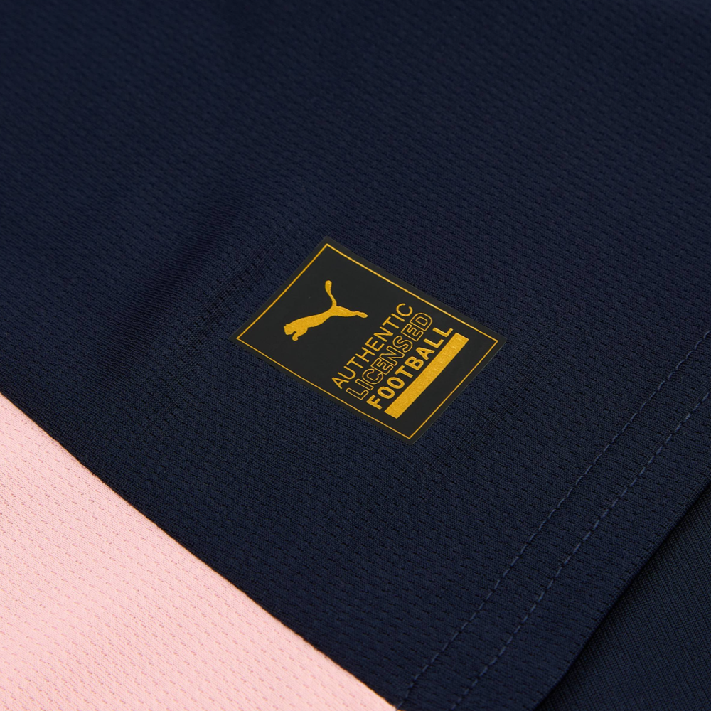 2025-26 Palermo FC Third Shirt