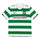 2010-12 Celtic FC Home Shirt